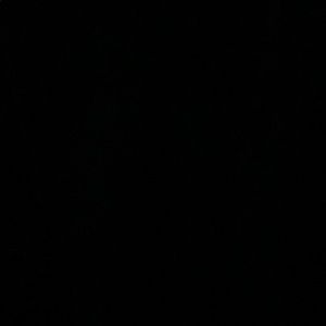 Meet your Posher, Eddie